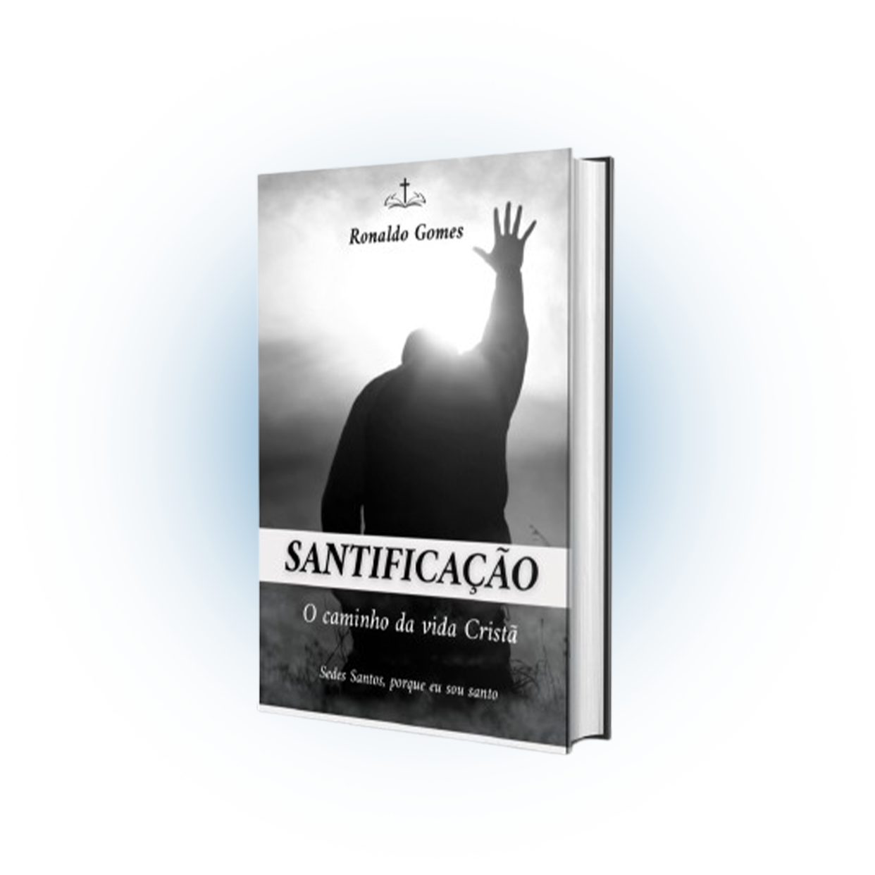 Santificação. O Caminho da Vida Cristã
